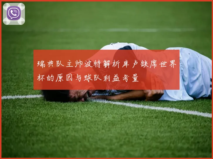 瑞典队主帅波特解析库卢缺席世界杯的原因与球队利益考量