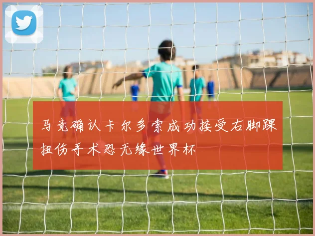 马竞确认卡尔多索成功接受右脚踝扭伤手术恐无缘世界杯